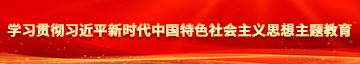 污污啊啊啊抠逼学习贯彻习近平新时代中国特色社会主义思想主题教育